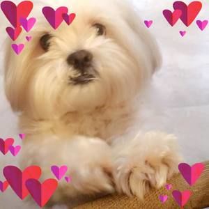 Meet your Posher, Alice1214